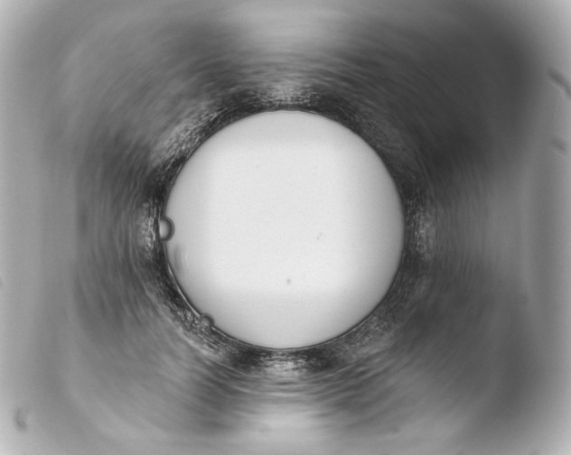 X0000103910746200810031212