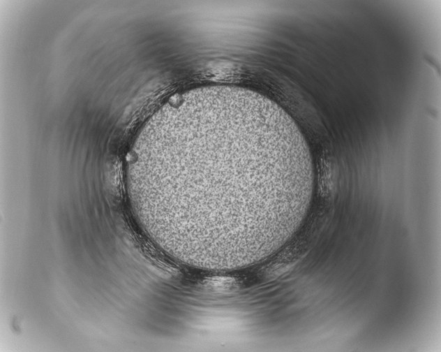 X0000103910748200810031212