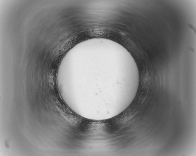 X0000103910749200810031212