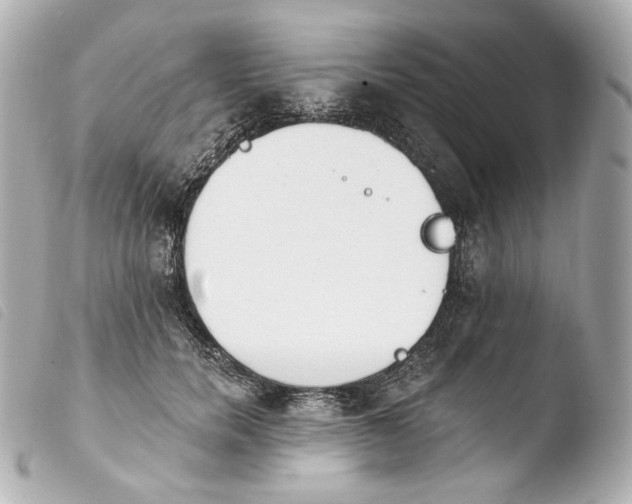 X0000103910750200810031212
