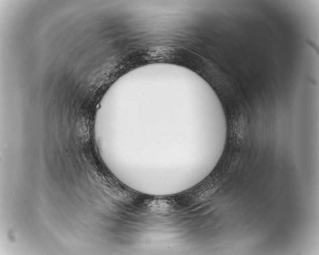 X0000103910751200810031212
