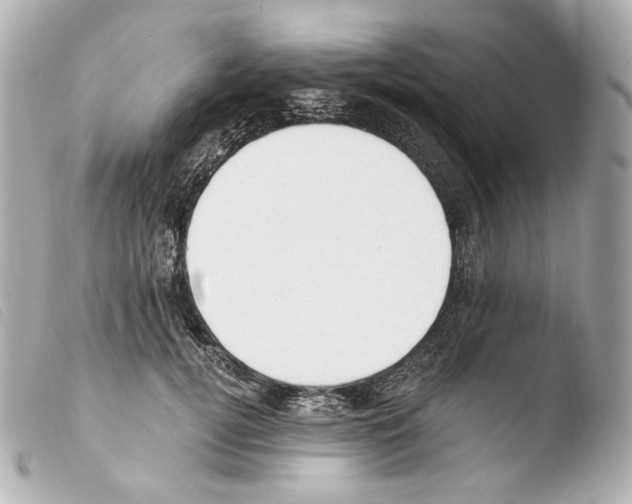 X0000103910752200810031212