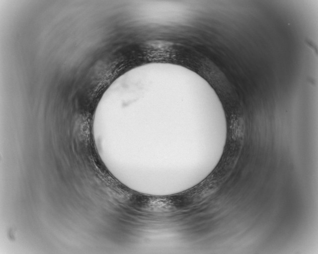 X0000103910753200810031212