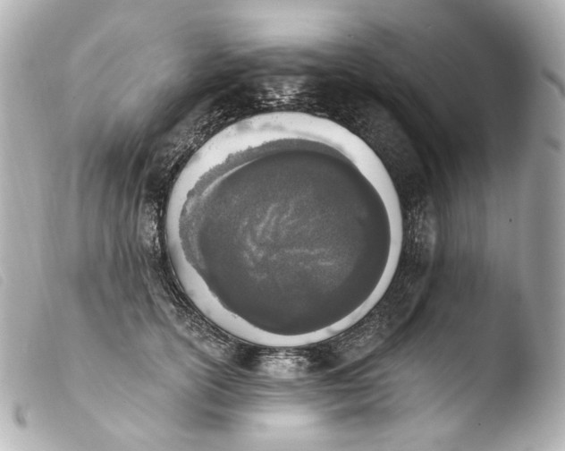 X0000103910754200810031212