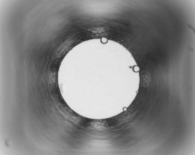 X0000103910756200810031212