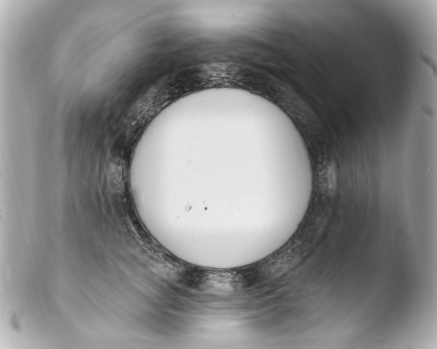X0000103910757200810031212
