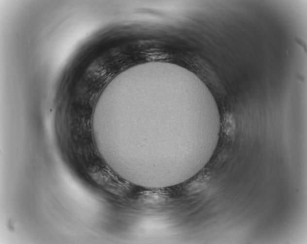 X0000103910763200810031212