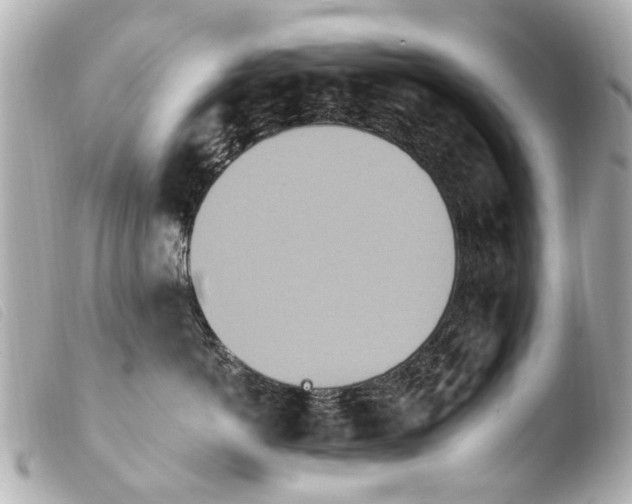 X0000103910766200810031212