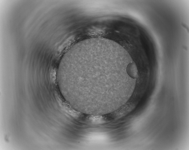 X0000103910767200810031212