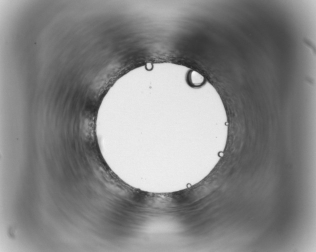 X0000103910768200810031212