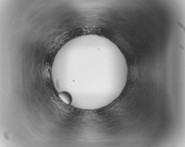 X0000103910770200810031212