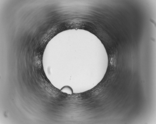 X0000103910771200810031212