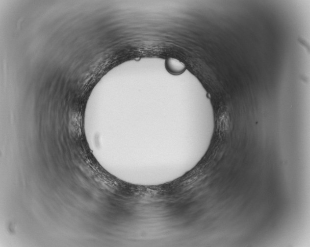 X0000103910772200810031212