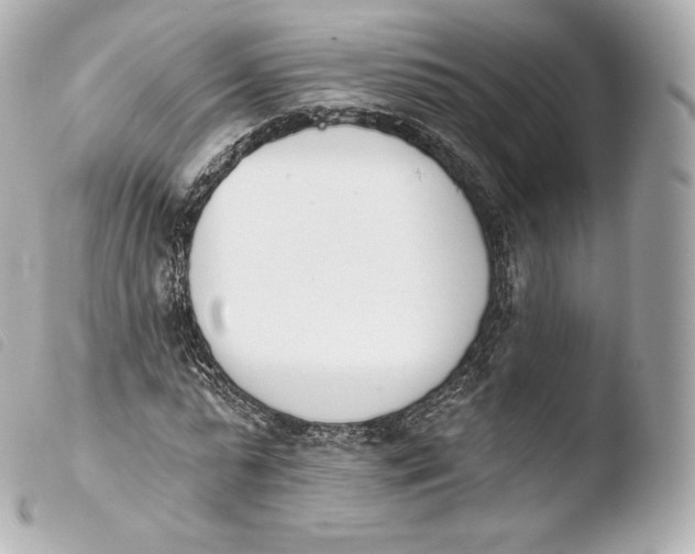 X0000103910775200810031212