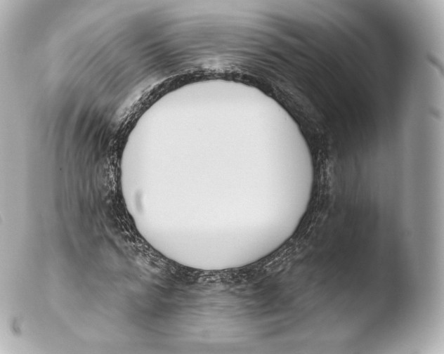 X0000103910776200810031212