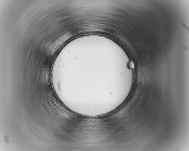 X0000103910777200810031212
