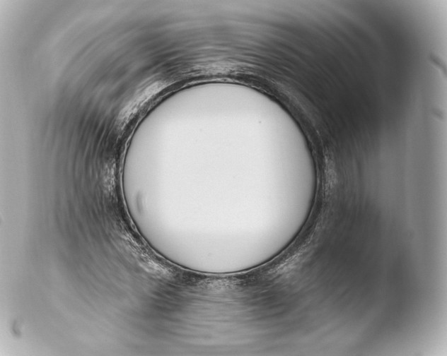 X0000103910778200810031212