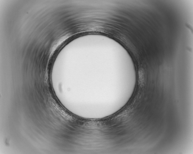 X0000103910780200810031212