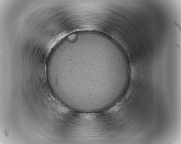 X0000103910781200810031212