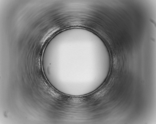 X0000103910782200810031212
