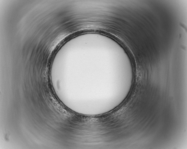 X0000103910783200810031212