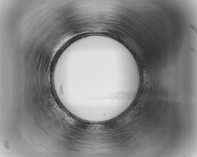 X0000103910784200810031212