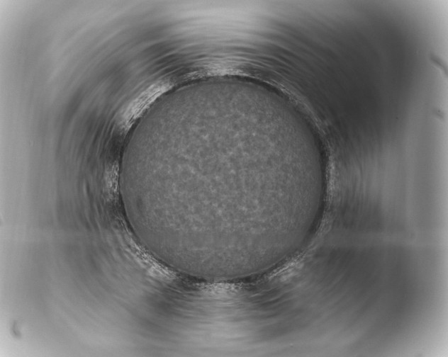 X0000103910785200810031212