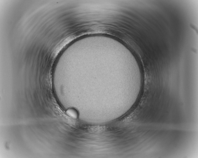 X0000103910789200810031212