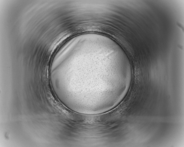 X0000103910790200810031212