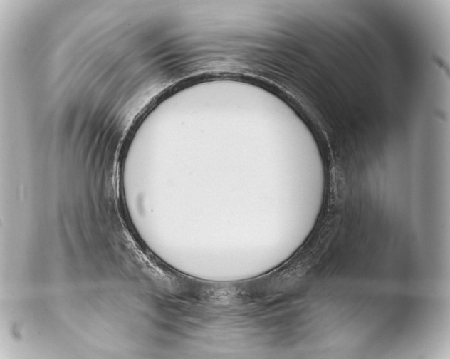 X0000103910791200810031212