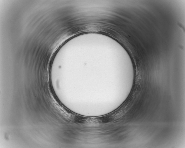 X0000103910795200810031211