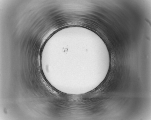 X0000103910796200810031211