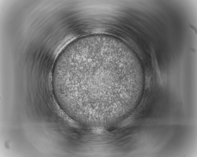 X0000103910798200810031211