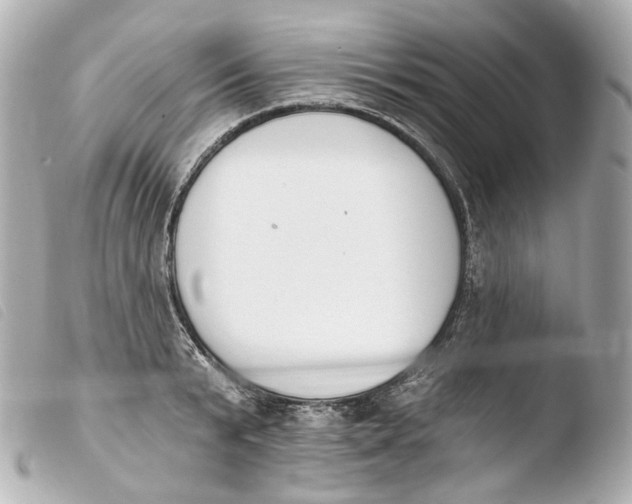 X0000103910799200810031211