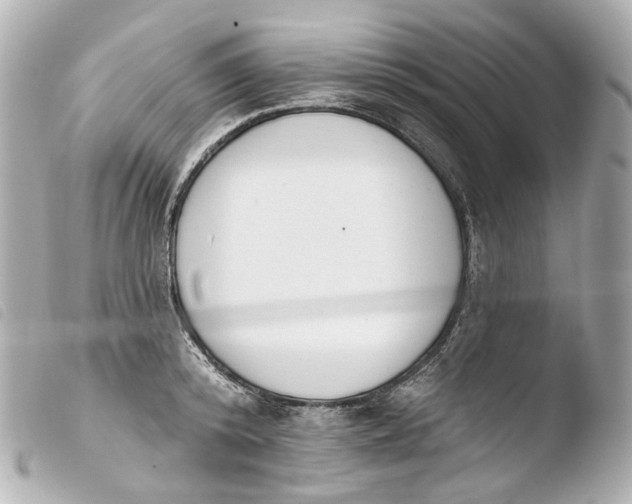 X0000103910800200810031211