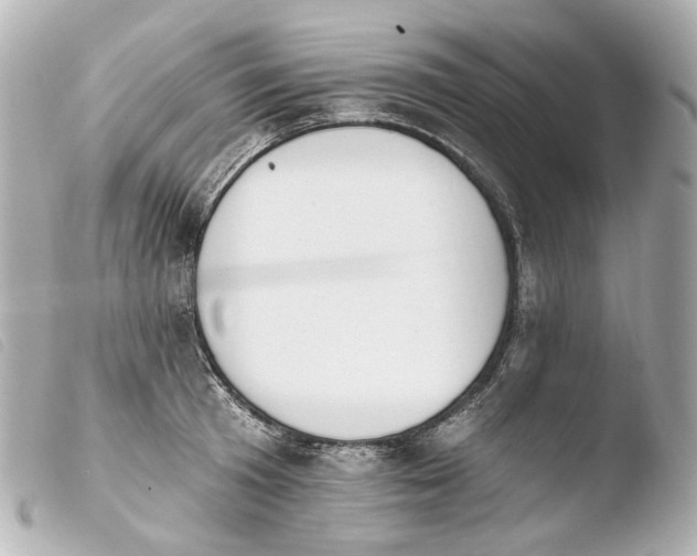 X0000103910801200810031211