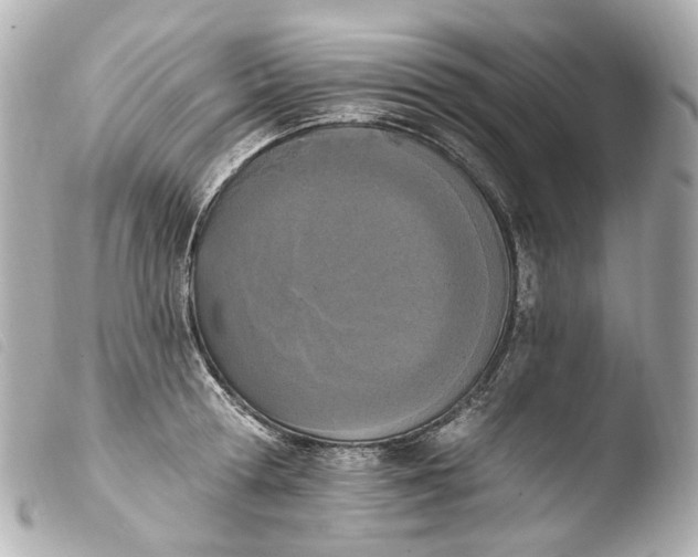 X0000103910802200810031211