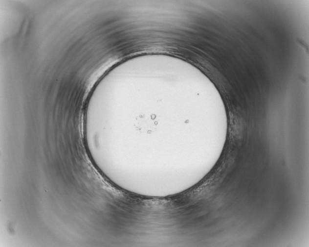 X0000103910804200810031211