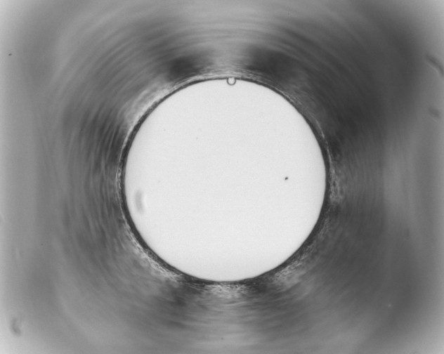 X0000103910805200810031211