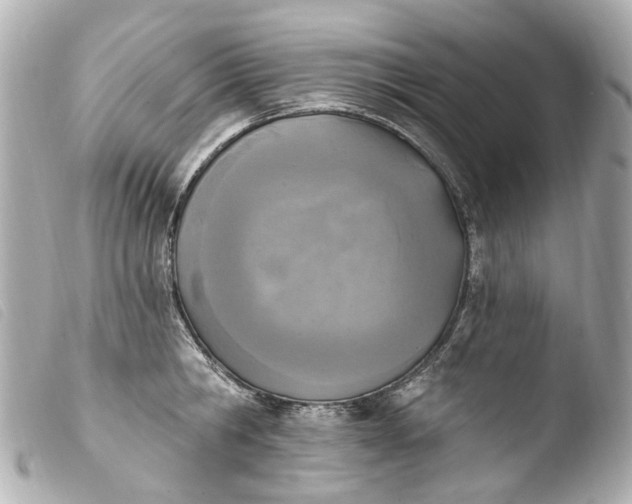 X0000103910806200810031211