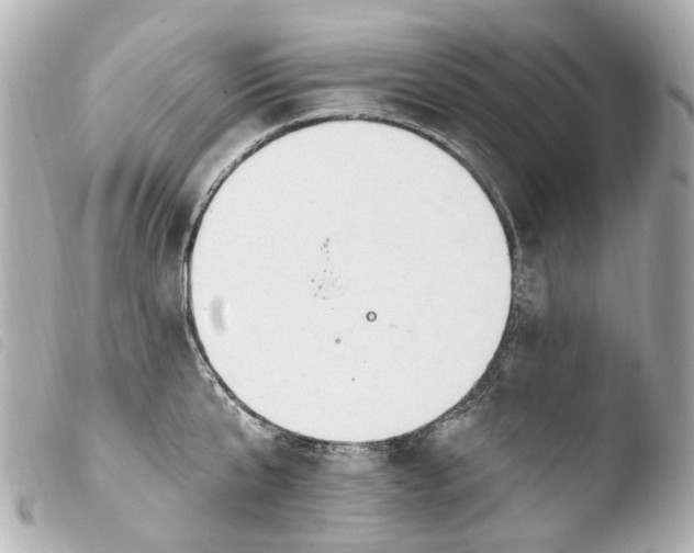 X0000103910807200810031211