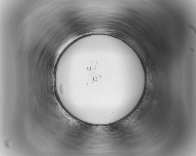 X0000103910808200810031211