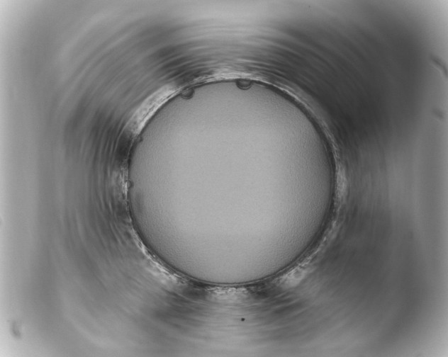 X0000103910809200810031211