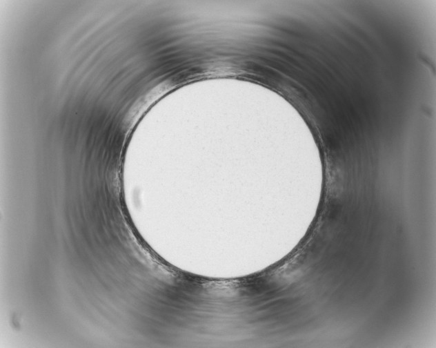 X0000103910810200810031211