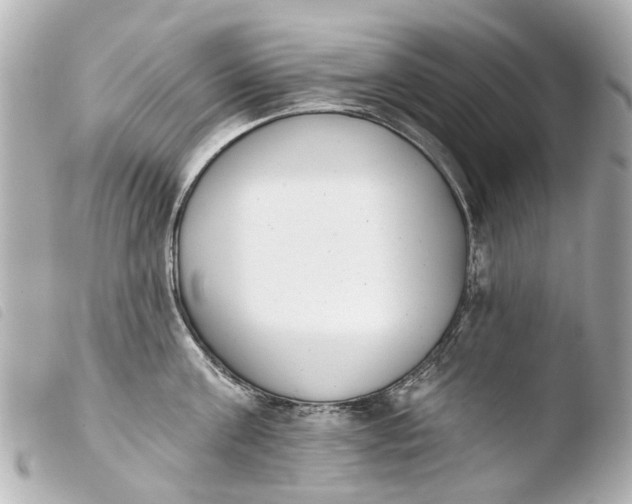 X0000103910811200810031211