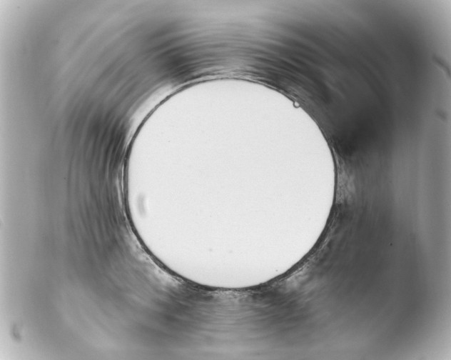 X0000103910812200810031211