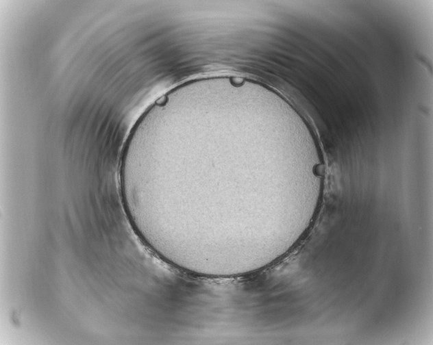 X0000103910813200810031211