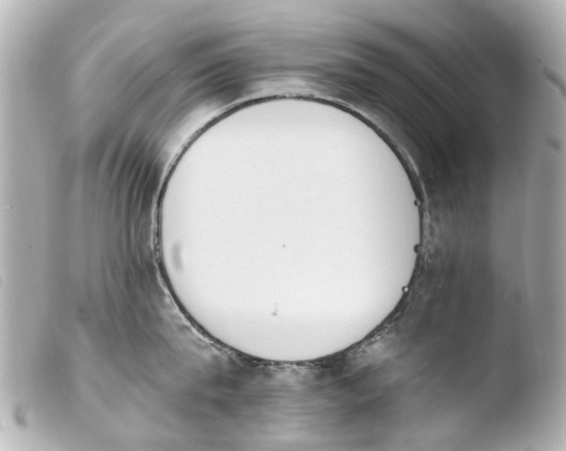 X0000103910815200810031211