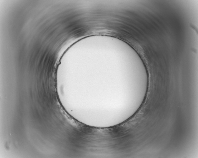 X0000103910816200810031211