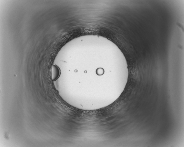 X0000103910817200810031211